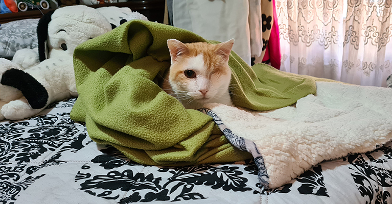 ANGELITO