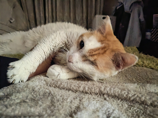 ANGELITO
