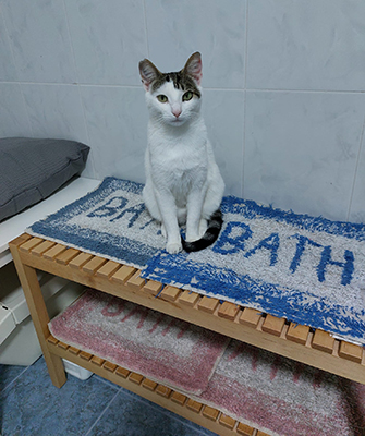 VENTURADA554(FREDDY)