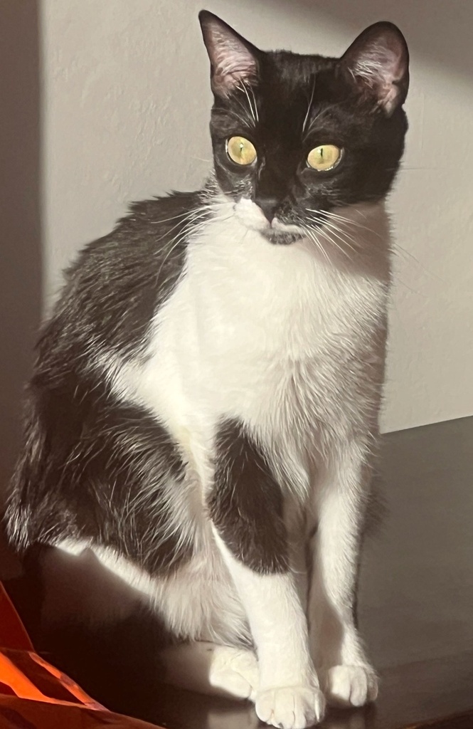 RAMA