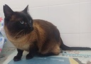 MOAXA