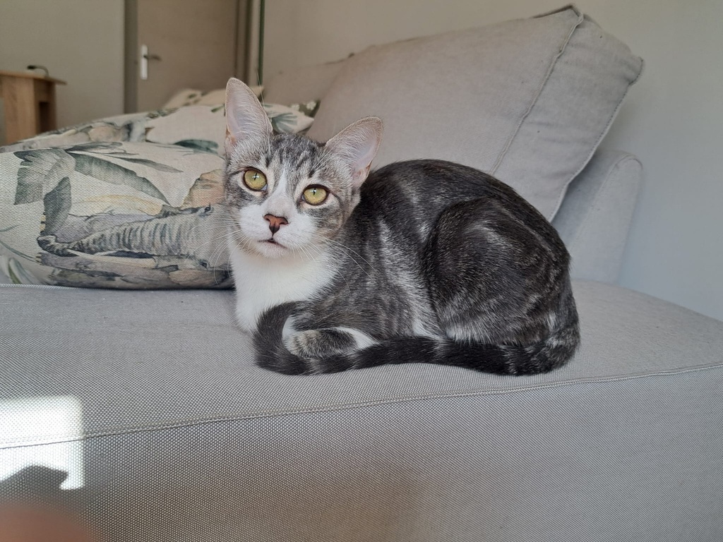OSITA