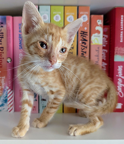 EDUARDO