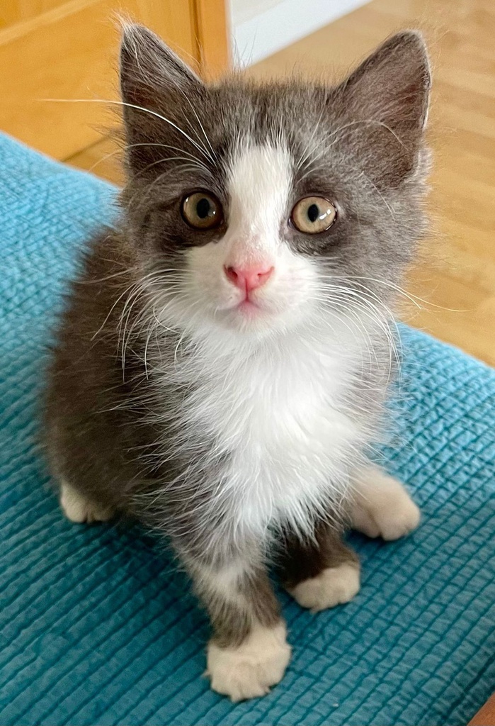JUNO